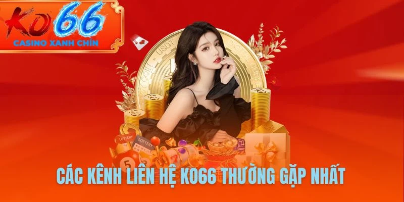 Các kênh Liên hệ KO66 thường gặp nhất
